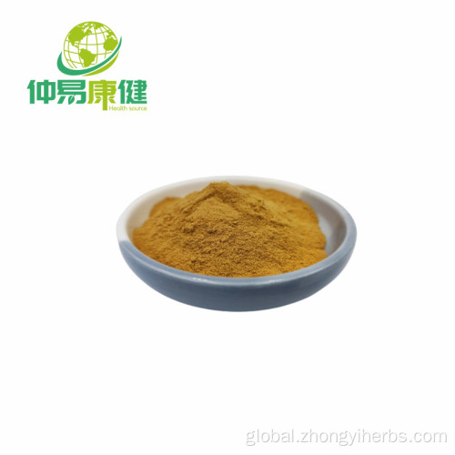 Hericium Erinaceus Mushroom Extract Hericium Erinaceus Extract 50%Polysaccharide Manufactory